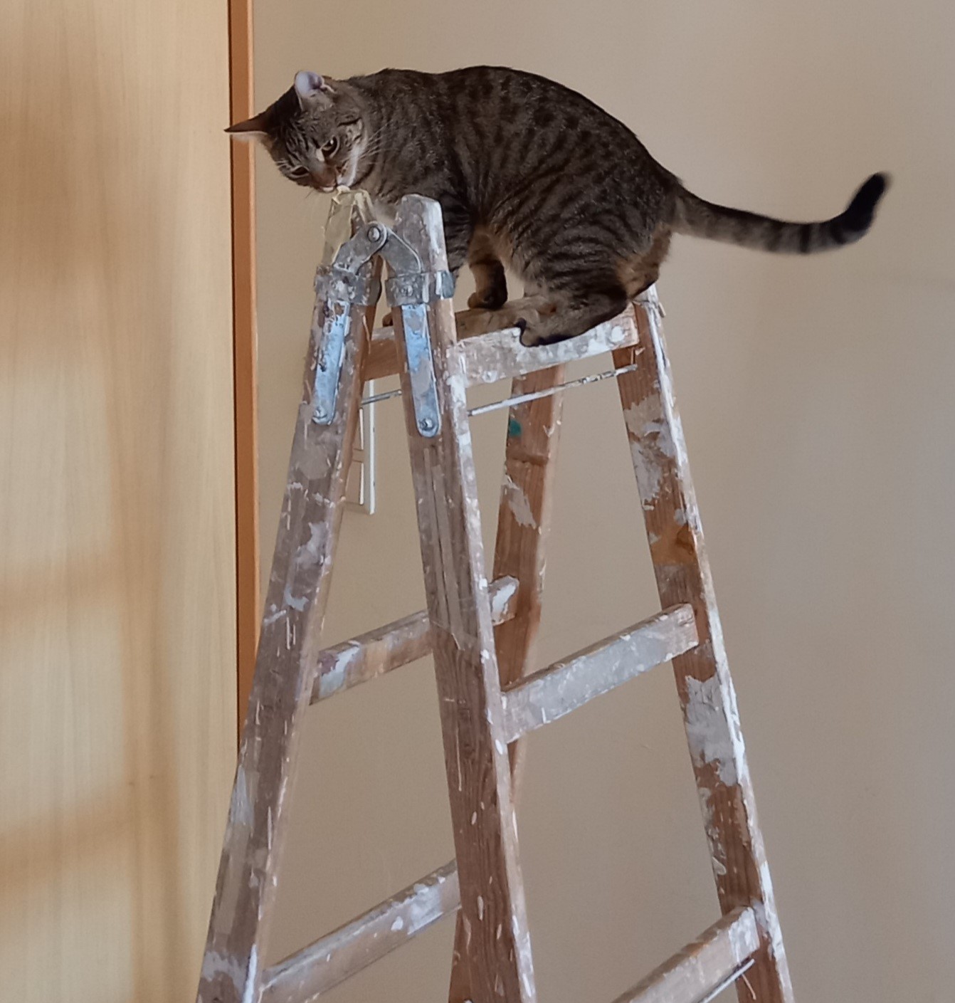 4. Projekt | Bild 2